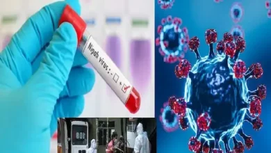 Nipah-virus-high-death-rate-70-pec-while-Covid-3-pec-ICMR