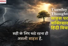 Tuesday Thoughts in Hindi on Sahas – तूफान के बीच चट्टान पर खड़ा एक मजबूत पेड़, जहां बाकी पेड़ झुके हुए हैं, साहस और सच्चाई का प्रतीक